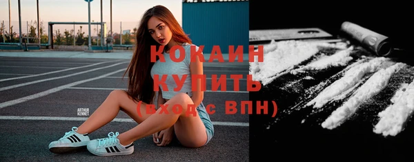 гидра Киренск