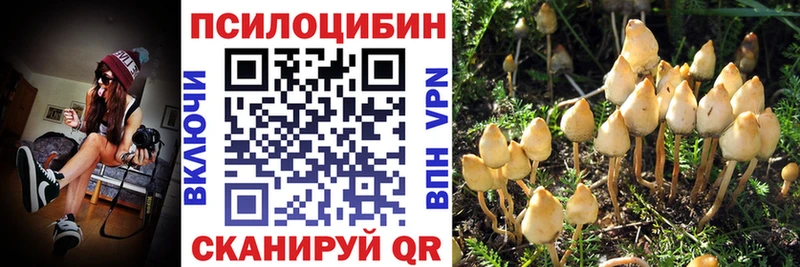 Купить закладки Берёзовский Псилоцибиновые грибы Psilocybe